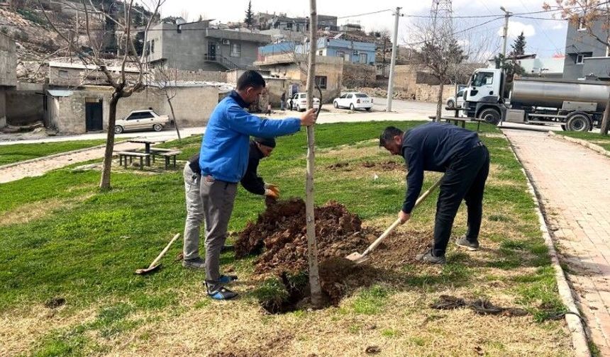 Şanlıurfa Eyyübiye’de Parklar Bahara Hazırlanıyor