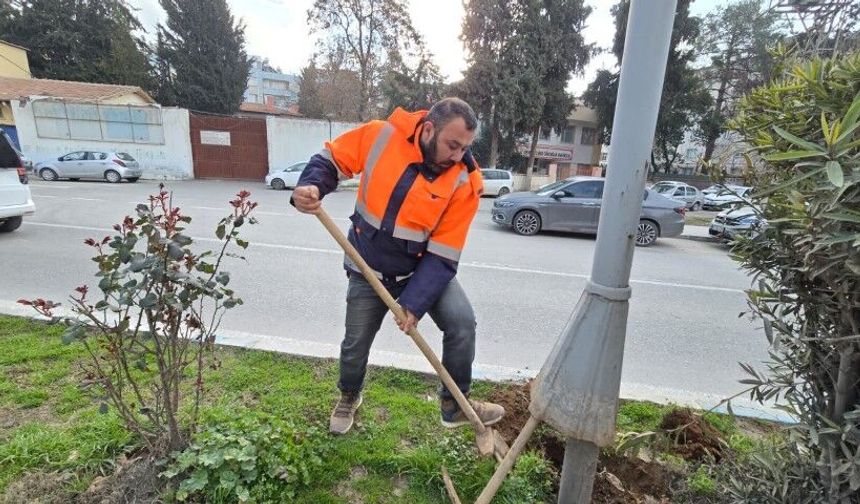 Birecik Belediyesi: Daha Aydınlık ve Güvenli Bir Kent İçin Çalışıyoruz