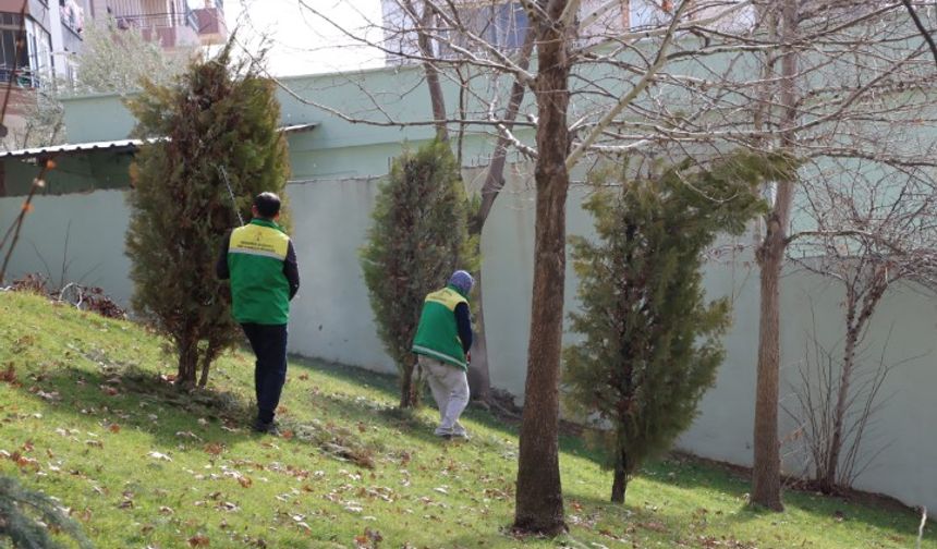 Şanlıurfa Karaköprü’de Parklar Yaz Öncesi Tertemiz Hale Getiriliyor!