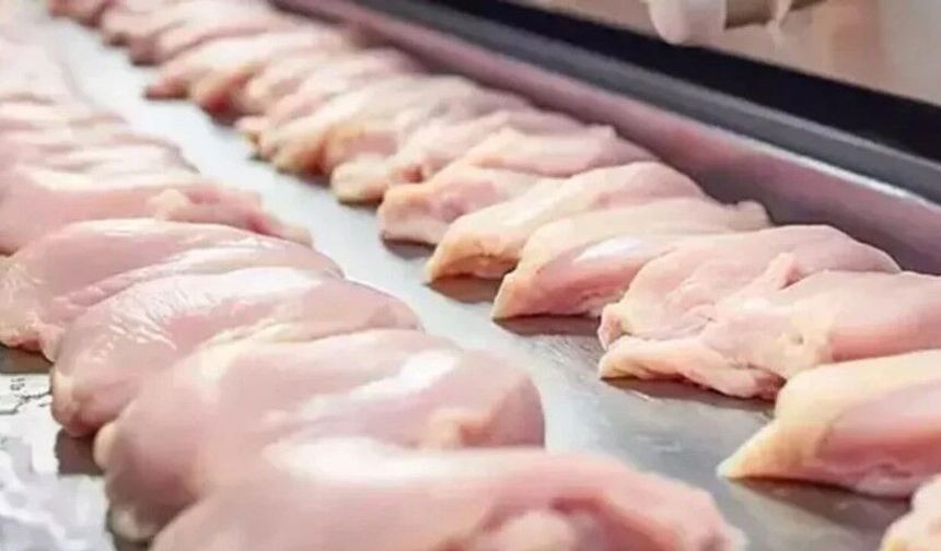 Tavuk Eti İhracatına Kısıtlama Kararı: Üretici ve Tüketici Dengesi Tartışılıyor