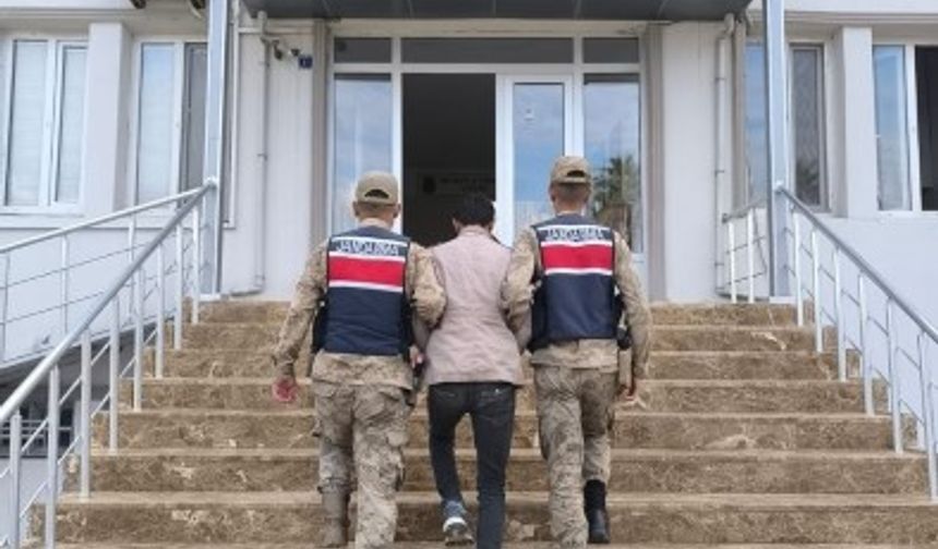 Şanlıurfa'nın 4 İlçesinde Narkotik Operasyonu: 12 Tutuklama