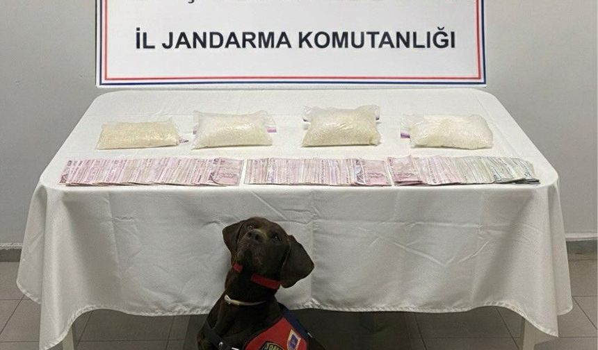 Şanlıurfa İl Jandarma’dan Uyuşturucuya Büyük Darbe!