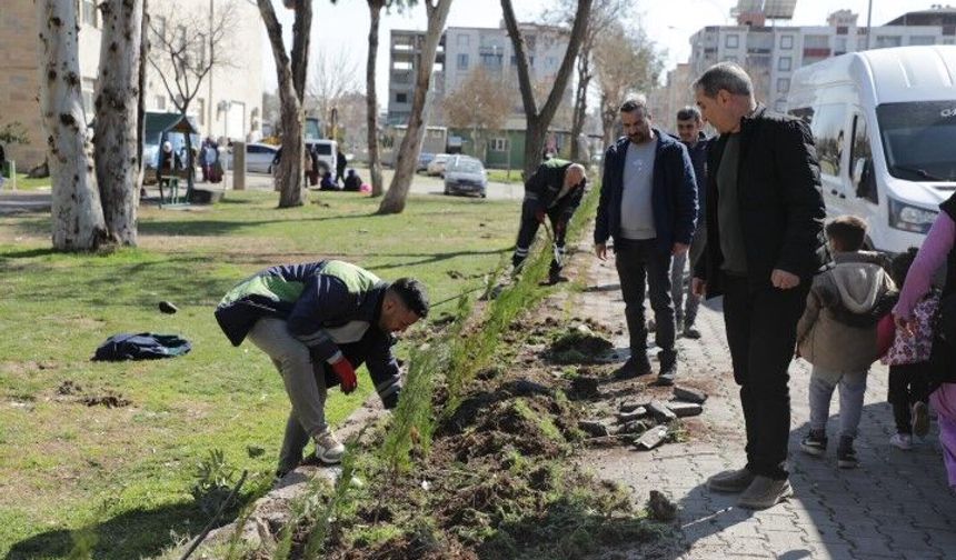 Viranşehir Antin Park’ta Peyzaj Çalışmaları Tamamlandı