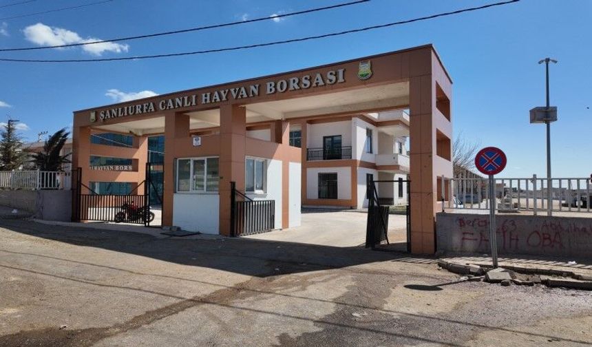 Şanlıurfa Canlı Hayvan Borsasında Modern Baskül Hizmete Girdi!