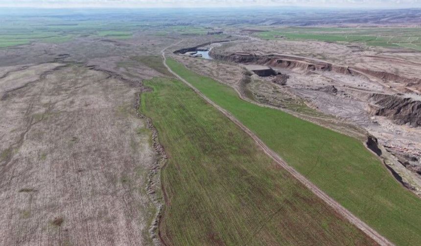 Şanlıurfa Ekipleri Bölge Yaban Hayatını Ceylanlarla Canlandırıyor!