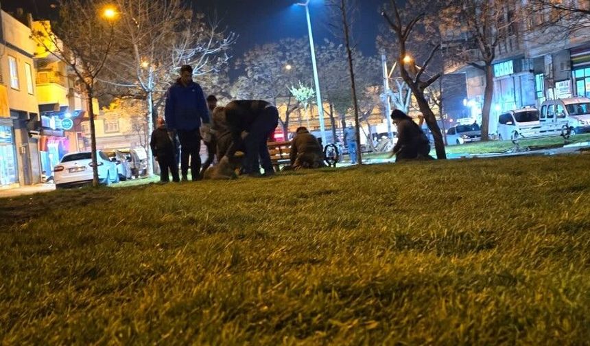 Şanlıurfa Eyyübiye Belediyesi’nden Gece Mesaisiyle Yeşil Dönüşüm!