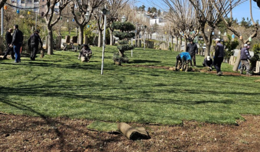 Şanlıurfa Eyyübiye’de Parklar Daha Yeşil ve Düzenli Hale Geliyor!
