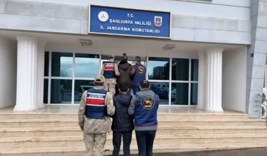 Şanlıurfa Jandarmasından Hükümlülere Operasyon!