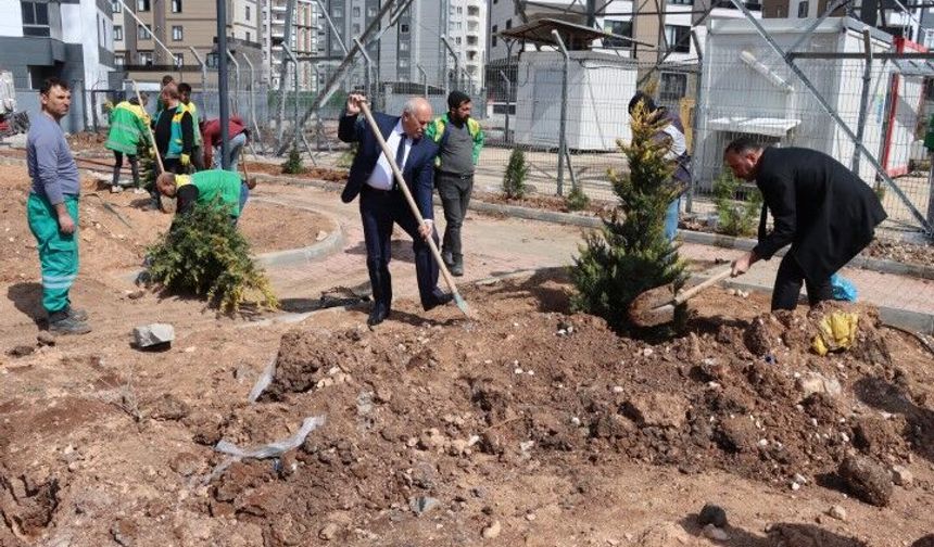 Şanlıurfa Karaköprü’de Yeni Parkta Ağaçlandırma Çalışması!