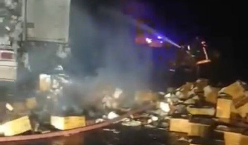 Şanlıurfa Siverek’te Peçete Yüklü Tırda Korkutan Yangın!