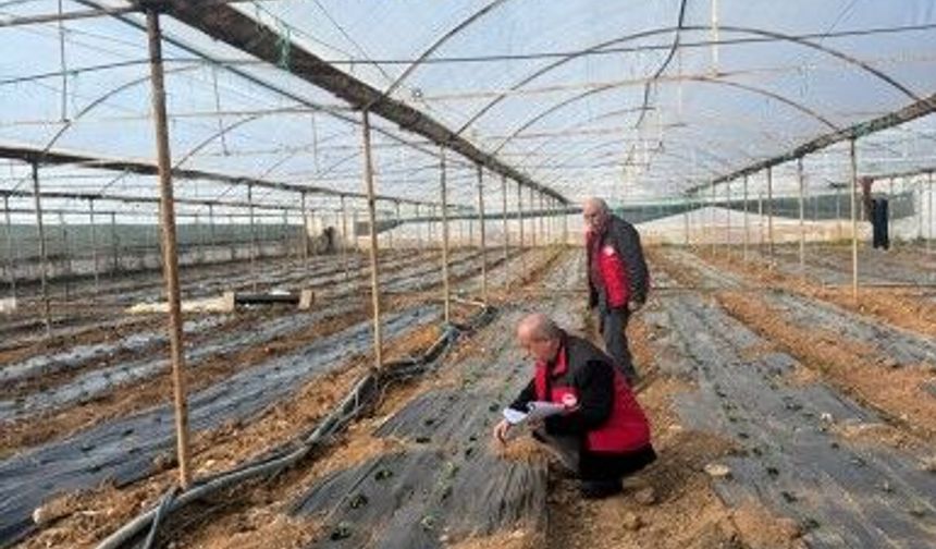 Şanlıurfa’da Pestisit Denetimleri Sıkılaşıyor