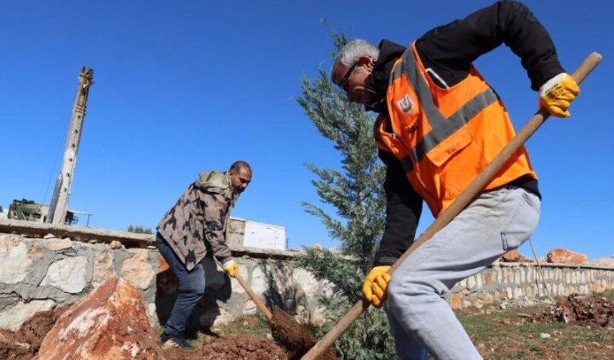 Şanlıurfa’da Kent Parkına 280 Yeni Ağaç Dikildi!