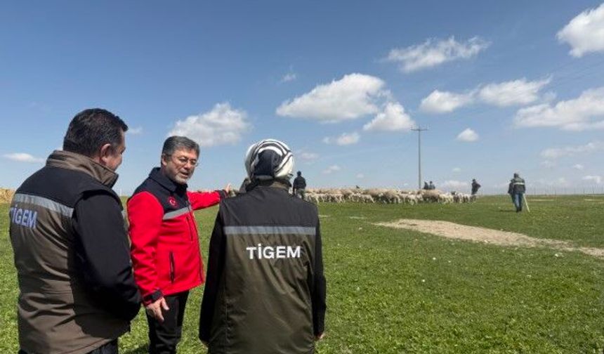 Bakan İbrahim Yumaklı Küçükbaş Destek Projesini Açıkladı