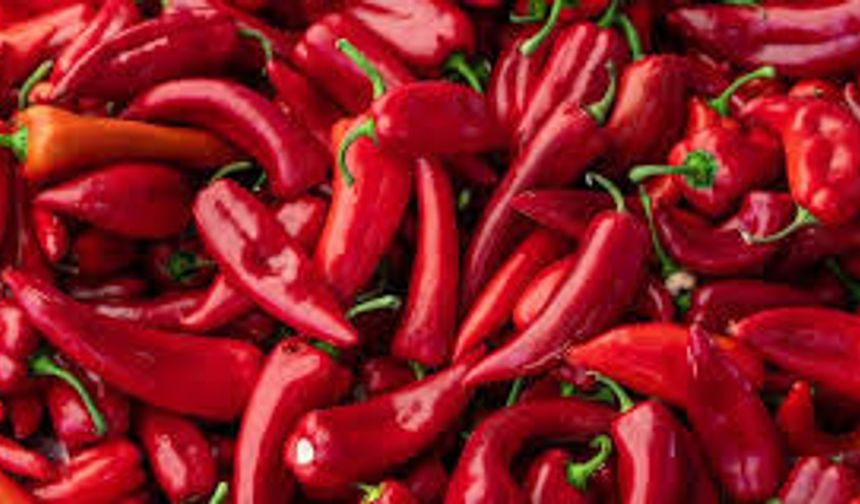 7 Liralık Biber, Markette 200 Lira: Bakanlık Harekete Geçti