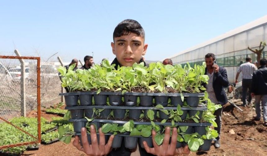 Şanlıurfa’da Çiftçilere 1 Milyon Fide Desteği!