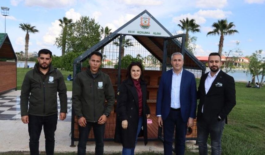 Şanlıurfa’da Sokak Kedileri İçin Dev Proje Hayata Geçti!