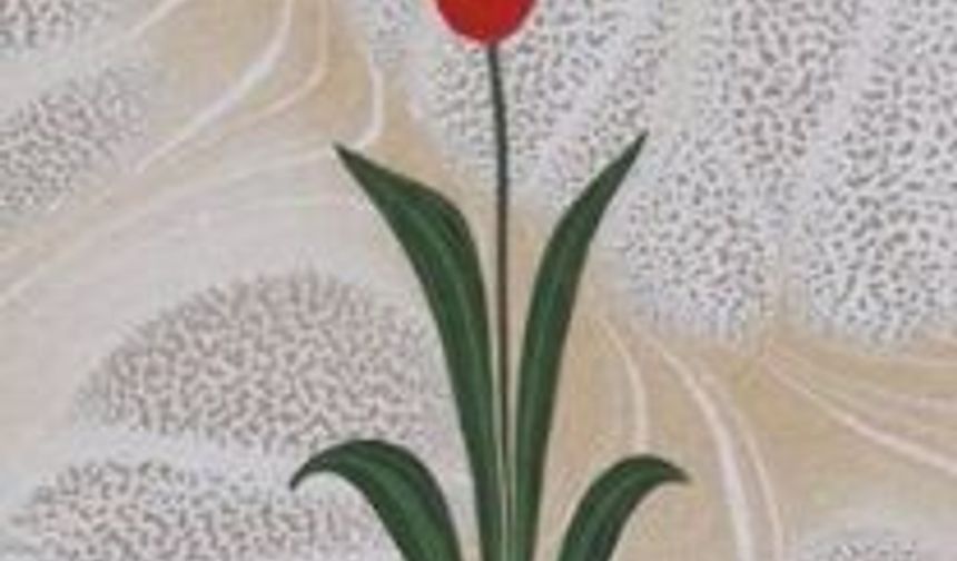 Şanlıurfa'da Geleneksel Ebru Sanatı Kursu Başvuruları Başladı