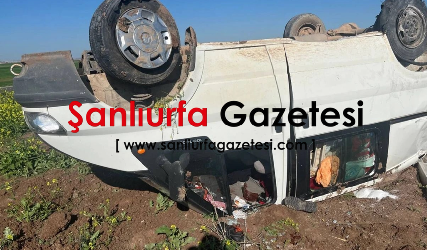 Şanlıurfa'da trafik kazası 8 yaralı