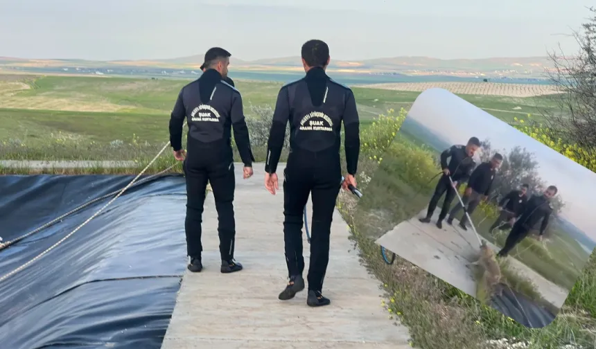 Şanlıurfa'da Gölette Mahsur Kalan Tilki İtfaiye Tarafından Kurtarıldı