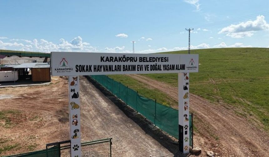 Şanlıurfa’da Sokak Hayvanları İçin Dev Yatırım!