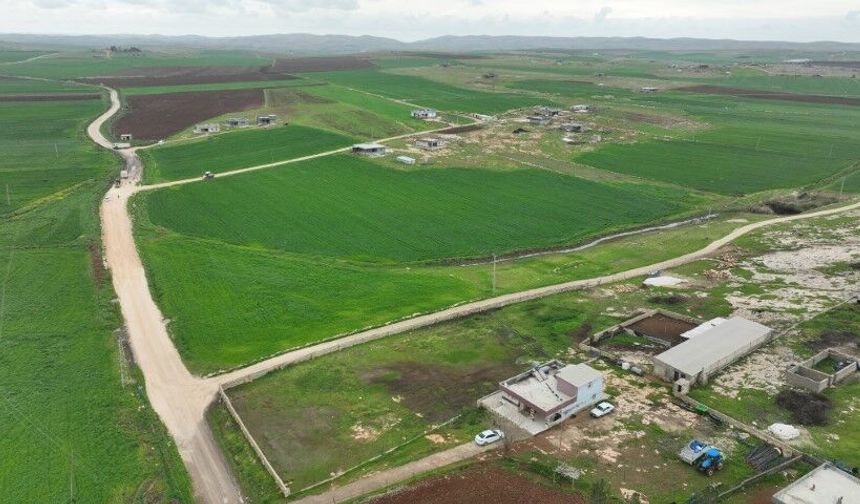 Şanlıurfa Büyükşehir’den Eyyübiye Kırsalına 4 Kilometrelik Yeni Yol Çalışması!