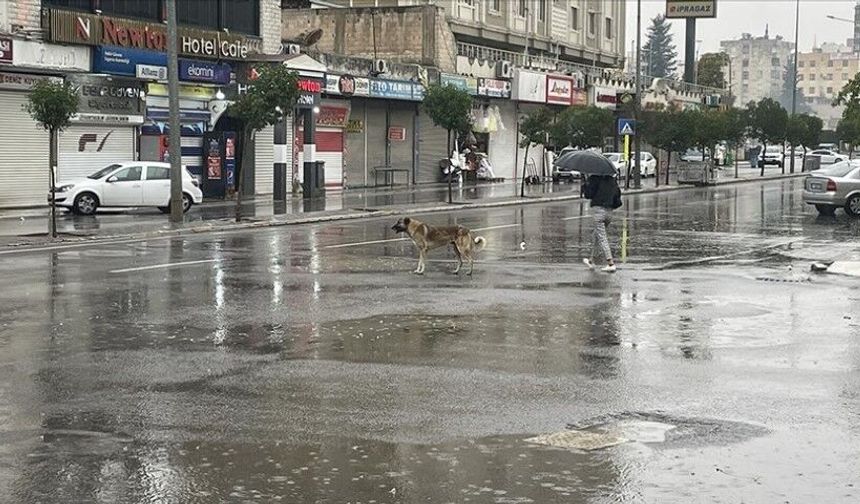 Şanlıurfa’da Kuvvetli Yağış Uyarısı: Sel ve Su Baskınına Dikkat