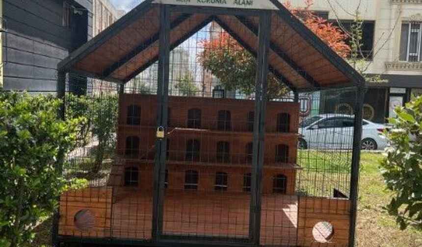 Osmangazi Mahallesi’ne Kedi Koruma Alanı Yapıldı