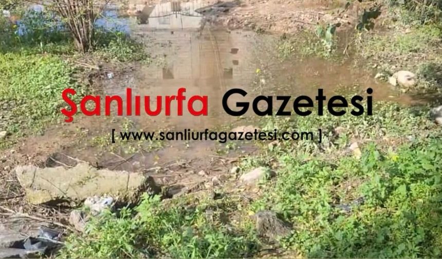 Birecik’te Vatandaşlar balçık nedeniyle Mezarlıklar İçin Seferber Oldu