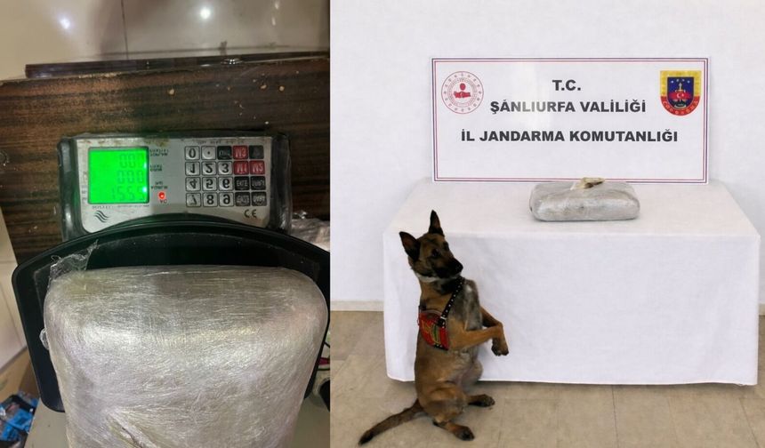 Şanlıurfa’da uyuşturucu operasyonu 1 gözaltı