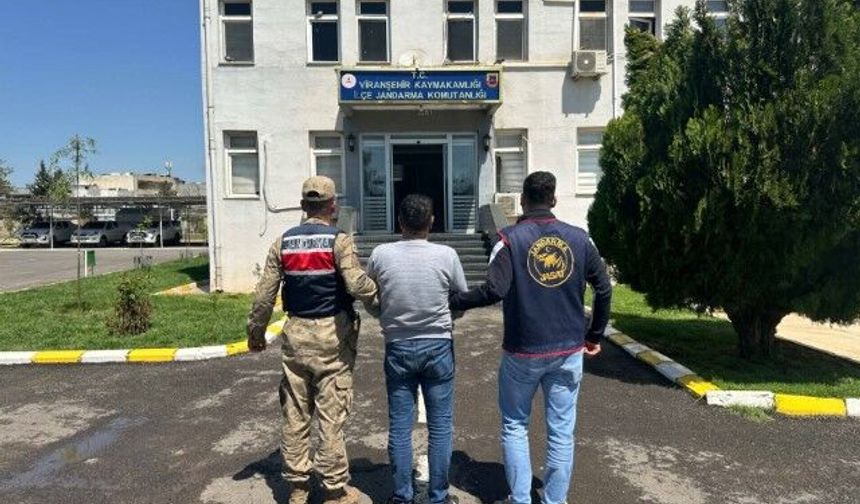 Şanlıurfa'da Firari Silah Kaçakçısı Jandarma Tarafından Yakalandı