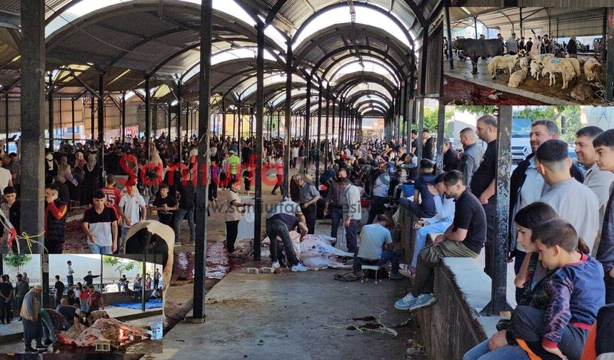 Şanlıurfa’da Kurban Kesim Alanlarında Yoğunluk Yaşandı