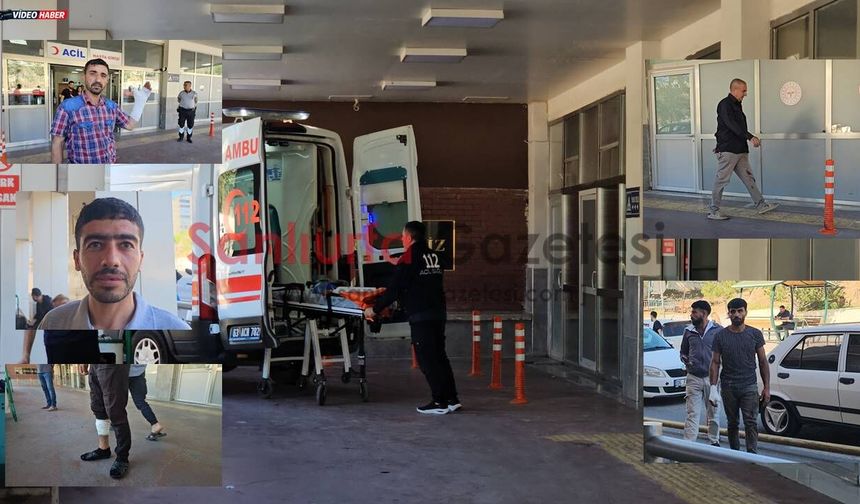 Şanlıurfa’da Bayramın İlk Gününde 232 Acemi Kasap Hastanelik Oldu