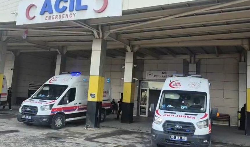 Siverek’teki yılan avı mağdurlarının kimlikleri belli oldu; Aynı aileden 5 yaralı!