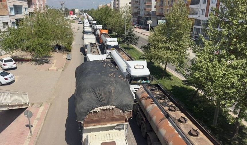 Kumruların kırmızı ışık sefası: Şanlıurfa'da doğadan gösteri