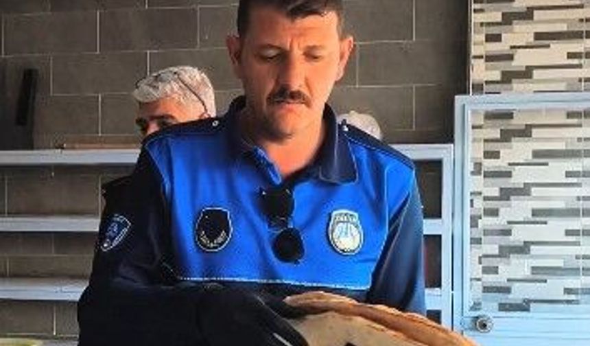 Eyyübiye belediyesi Zabıta ekipleri denetimlere devam ediyor