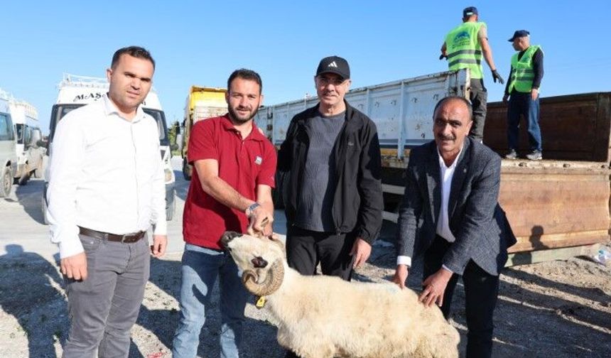 Eyyübiye Belediyesi Bayramda Tarım İşçisi Ailelerin Yüzünü Güldürdü