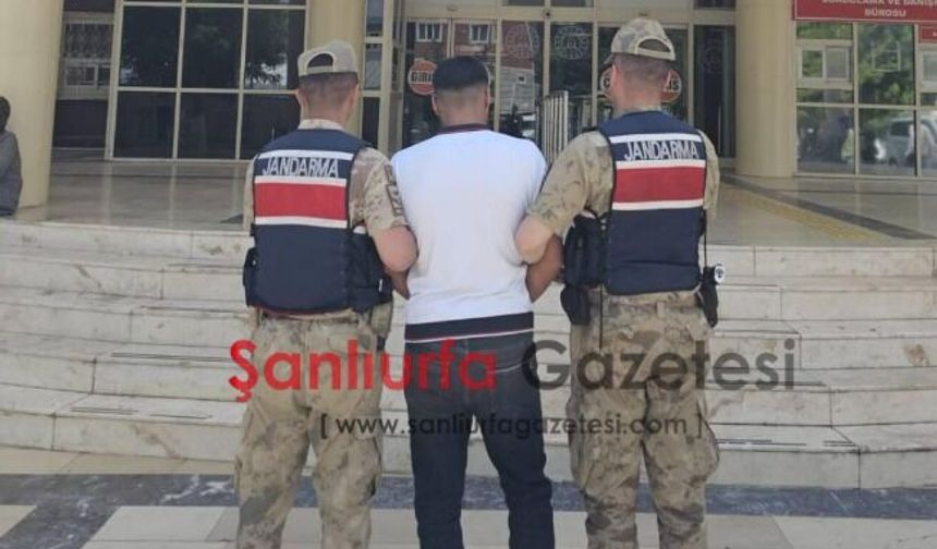 Son dakika; Firari şahıs Şanlıurfa’da yakalandı