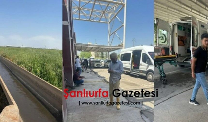Şanlıurfa’da Sulama Kanalına Düşen Kardeşlerden Acı Haber