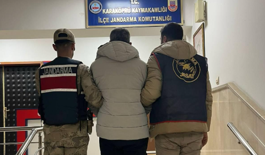 Şanlıurfa Jandarma firariye dur dedi!
