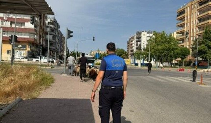 Haliliye Belediyesi Bayram Boyunca Denetimlerini Sürdürüyor