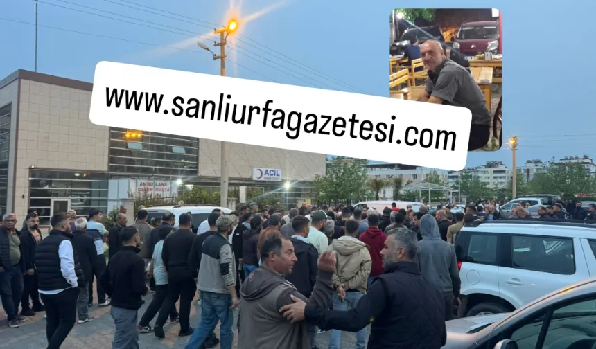 Şanlıurfa'da hayvan kavgası 1 ölü 2 gözaltı