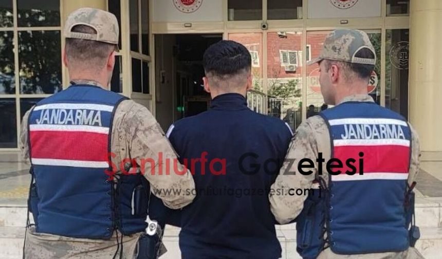 Şanlıurfa’da Halil Arslanlı Cinayetinde Tutuklama Kararı