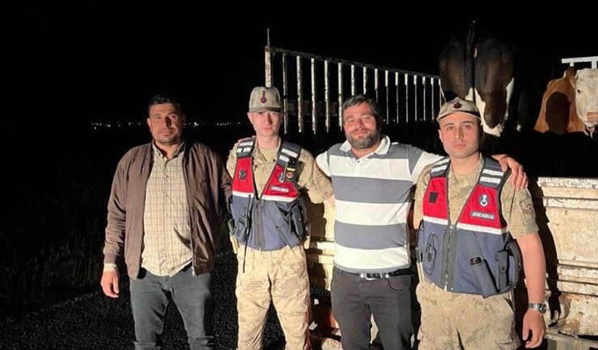 Şanlıurfalı çobana jandarmadan yardım eli; Binlerce lira kayıptan kurtuldu!
