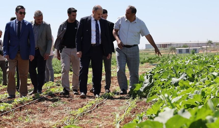 Başkan Gülpınar’dan Dünya Çiftçiler Günü Mesajı