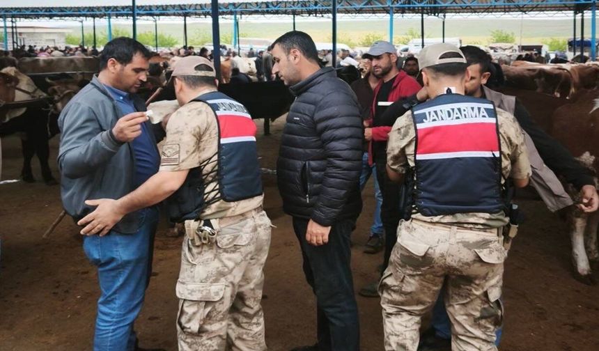 Şanlıurfa Jandarması Kurban Pazarlarında Tedbirleri Artırdı