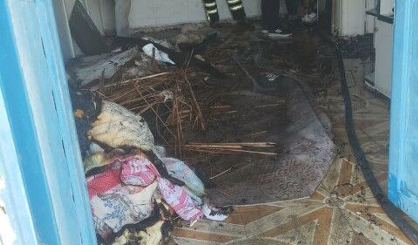 Şanlıurfa’da elektrik arızası yangına neden oldu