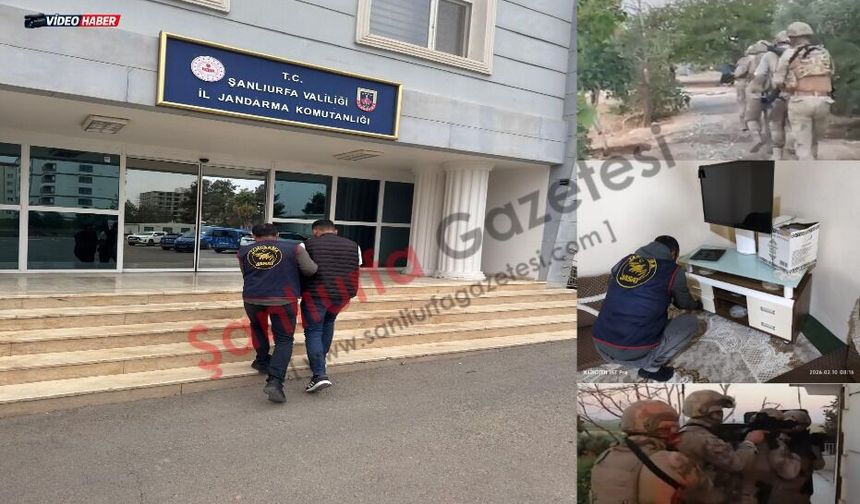 Şanlıurfa’da jandarmadan dev operasyon başlattı 96 gözaltı