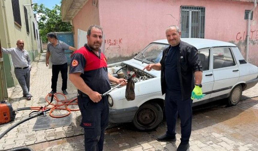 Şanlıurfa’da Sürücü Şoke Oldu: Aracında Yılan Buldu