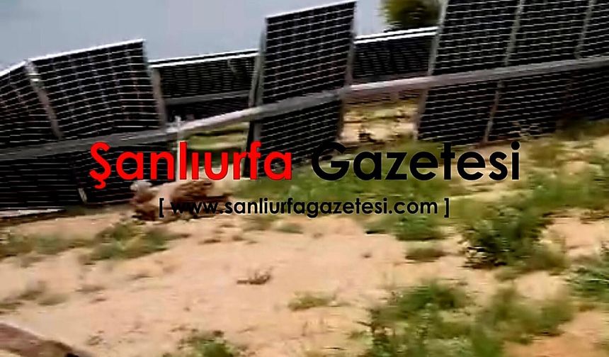 Şanlıurfa'nın o ilçesi karanlığa gömüldü: Hasar büyük