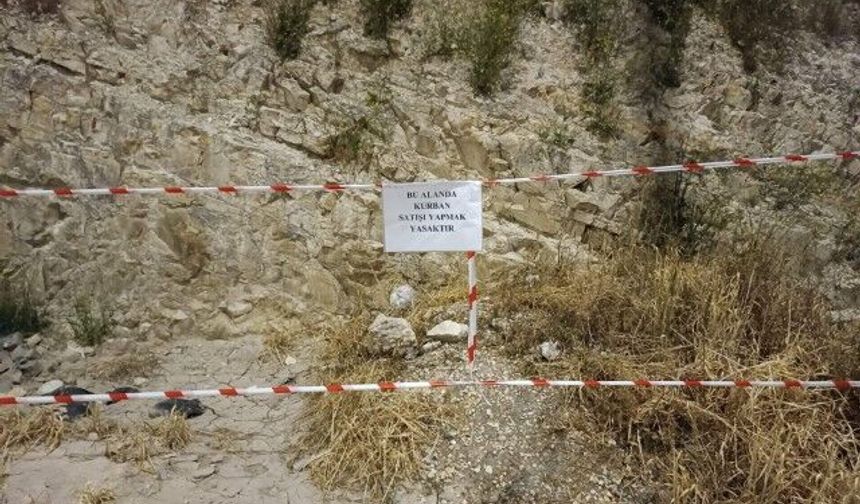 Haliliye Belediyesi’nden Kurban Satışlarına Sıkı Denetim